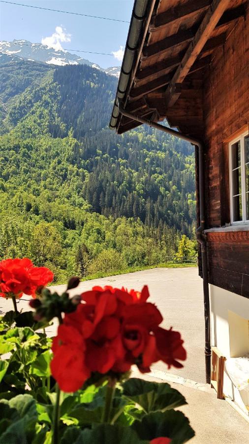 Triftblick Bed and Breakfast Gadmen Eksteriør billede